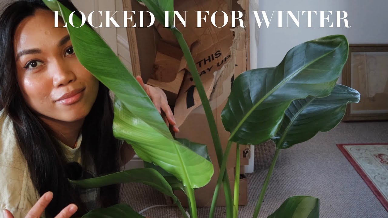Last plant haul before winter and more! Ep. 17