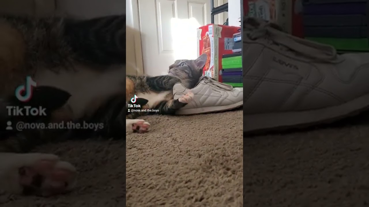 Lucky's Foot Fetish 👟 
