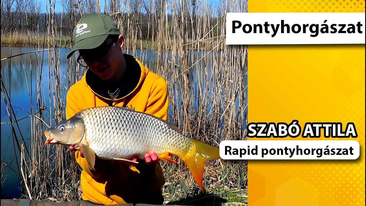 Rapid pontyhorgászat a Silver Horgásztavon - Szabó Attila