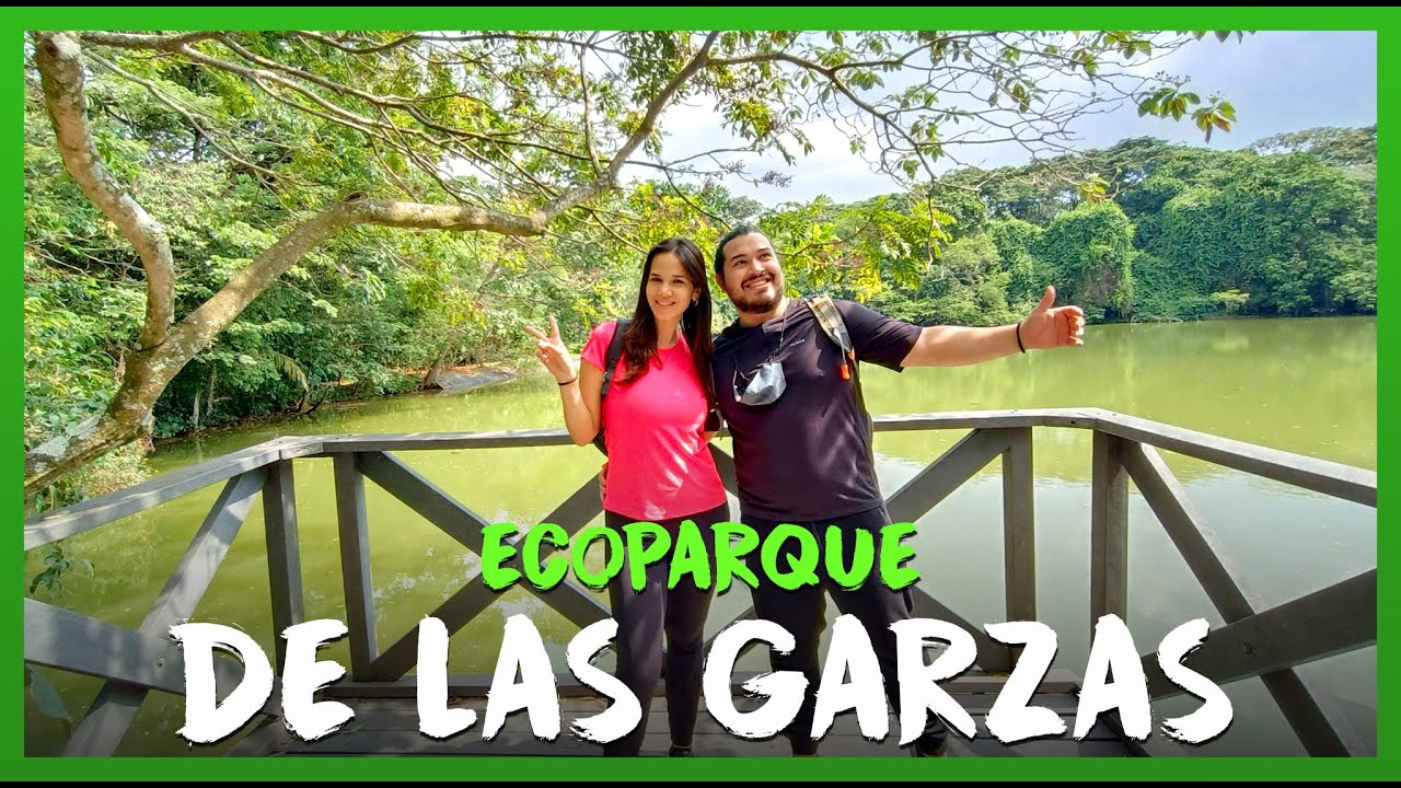 Eco parque de las Garzas 🌳🌼 Turismo ecológico dentro de CALI y GRATIS