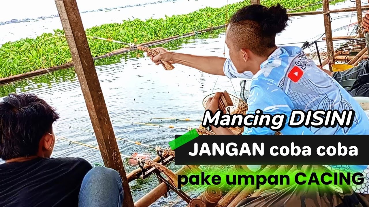 GACOR terus ada SAMBARAN🔥 MANCING CIRATA TERBARU