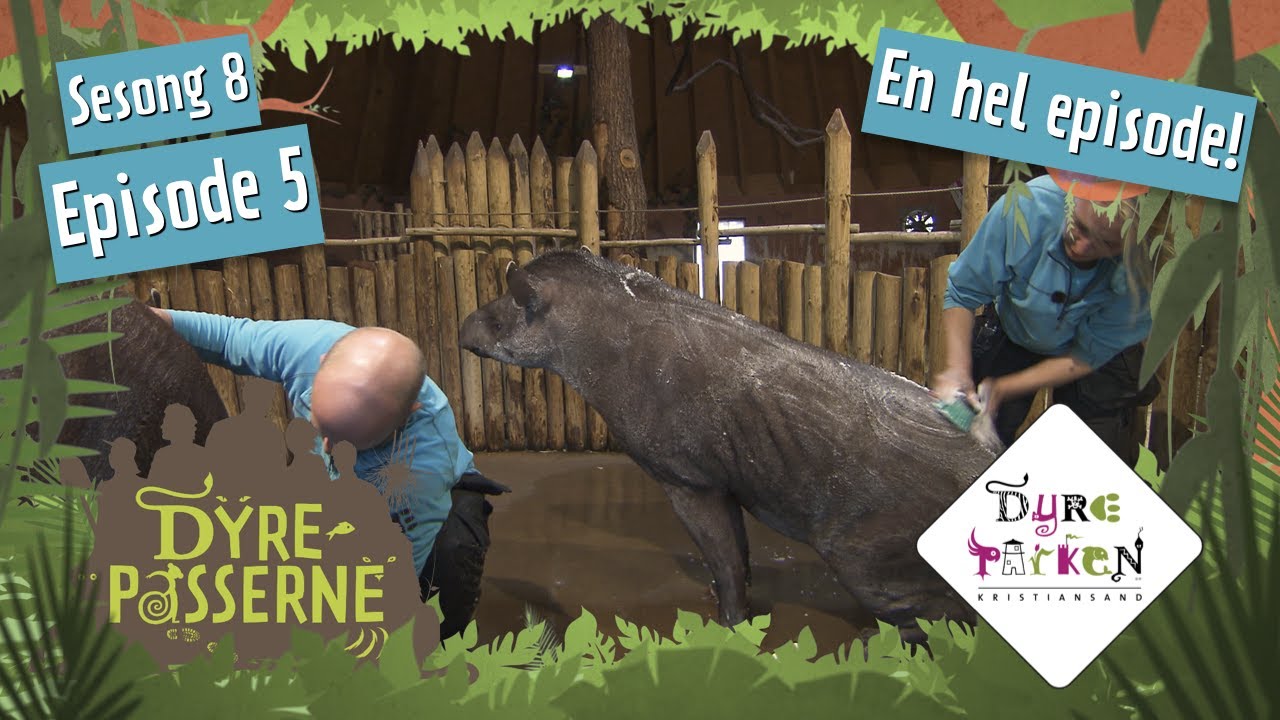 Utbryterkongen Fernando | Dyrepasserne S8E5 | Dyreparken