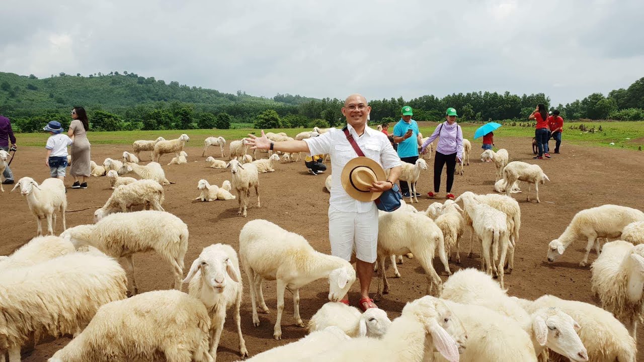 Đồng Cừu Suối Nghệ, bối cảnh thơ mộng cho các nhà làm phim và chụp ảnh cuới