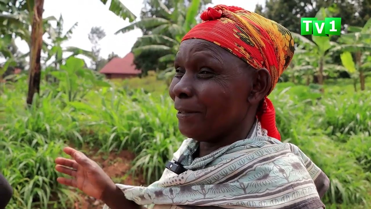 Rwamagana: Abaturage batunguwe no gusanga umusore ari mu mugozi yapfuye