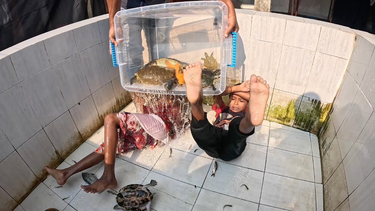 Kids Cleaning Aquarium with Enjoyment #aquarium #fishtank