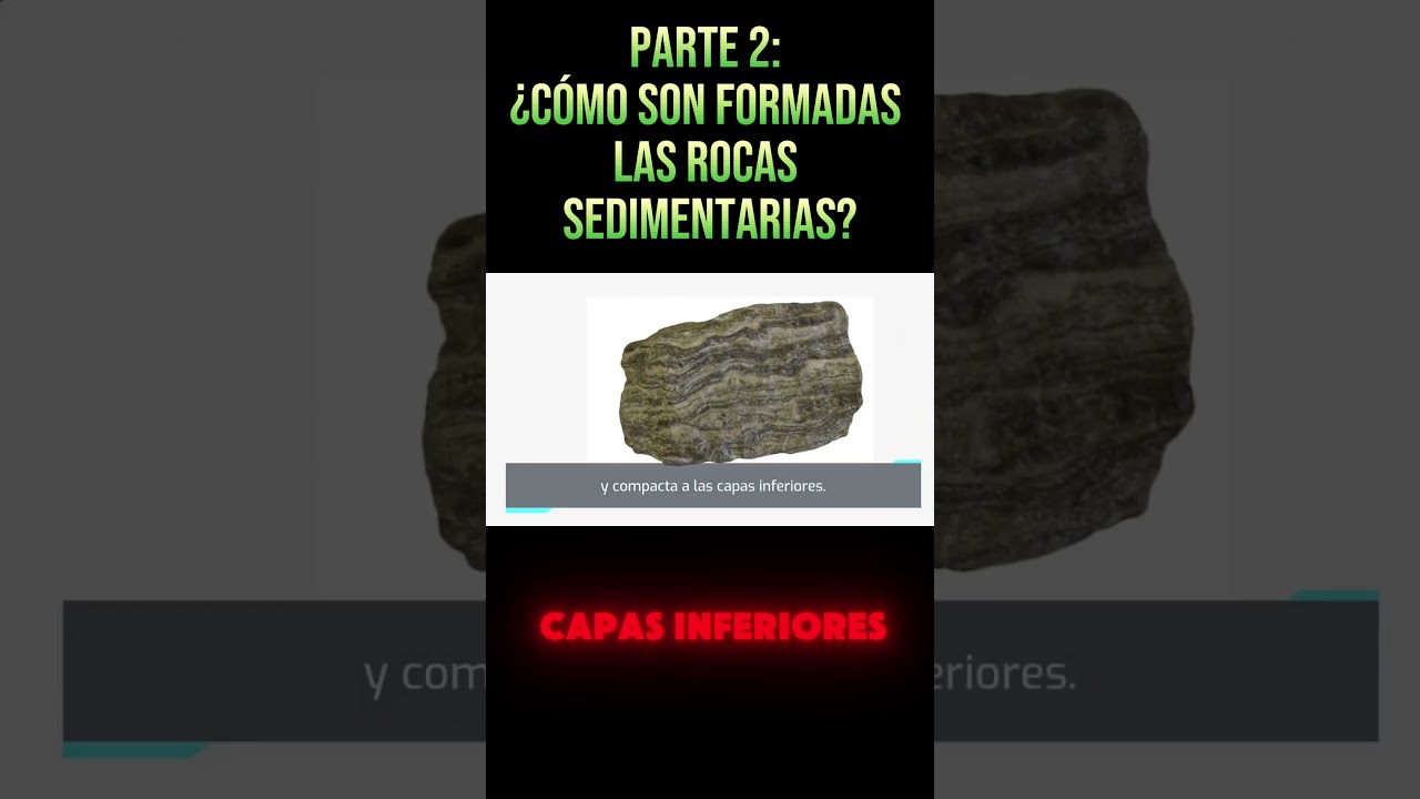 PARTE 2: &iexcl;Descubre el Misterio de las Rocas Sedimentarias! 🌍🪨 #educacionsteam #rocassedimentarias