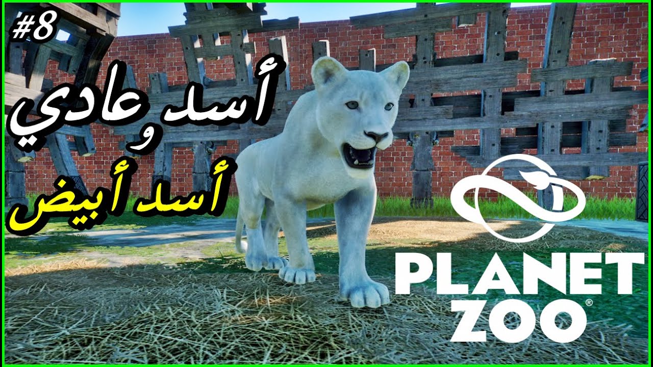الحلقة 8 لعبة - Planet Zoo - اسد عادي واسد ابيض 🦁🦁 ^_^