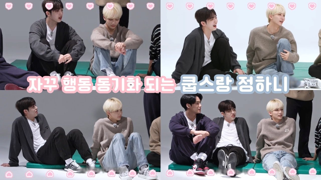 세븐틴/에스쿱스/정한 🍒😇 행동 동기화 되는 쿱스랑 정하니