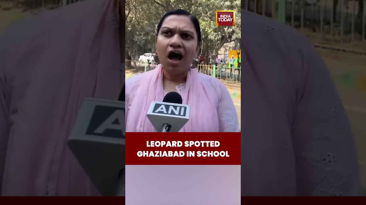 Leopard Spotted At Ghaziabad School | Tranquilization Team On Way