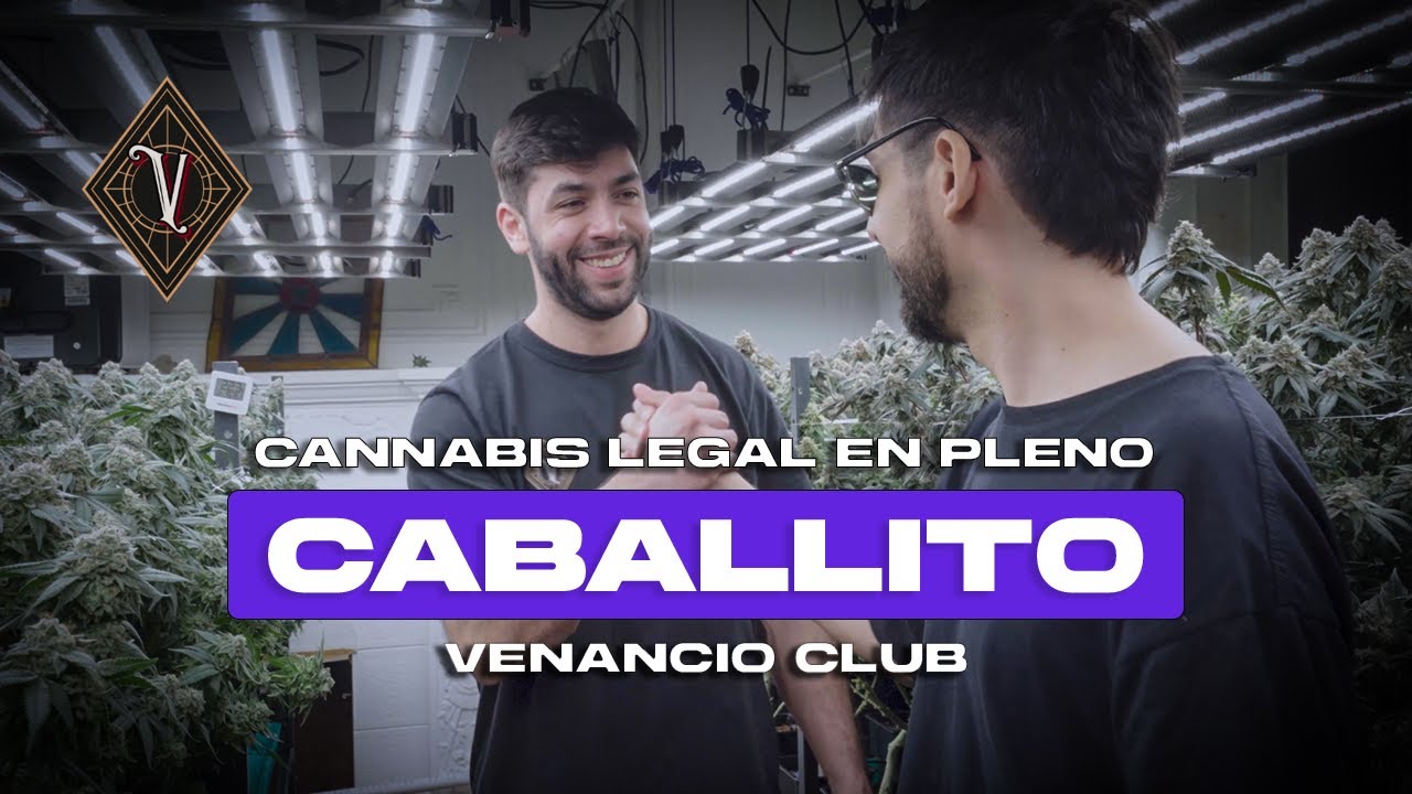 Entramos a uno de los cultivos m&aacute;s exclusivos de Buenos Aires | Blooming Tours EP01 - Venancio Club