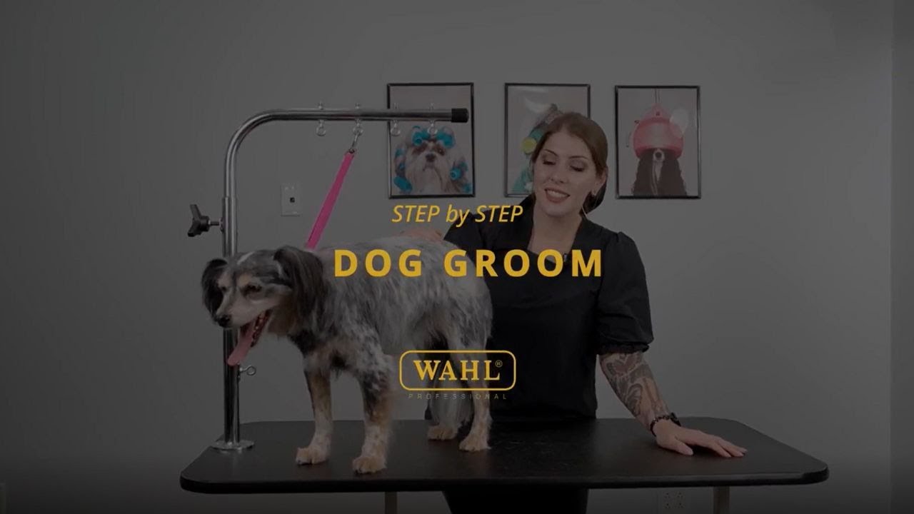 Пошаговый уход за собаками с Wahl Professional &mdash; Соске и Рэйчел