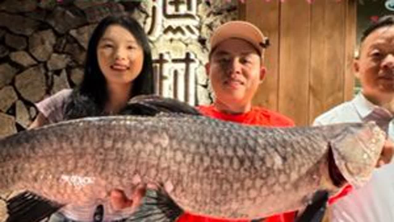 相互信任，交换美好！三条大青换鸭嘴，你们觉得梓慧亏不亏...钓鱼就用云飞鱼 2025dou来钓鱼 原来钓鱼才是抖音运动顶流 dou是钓鱼人 春季鱼王爆护挑战