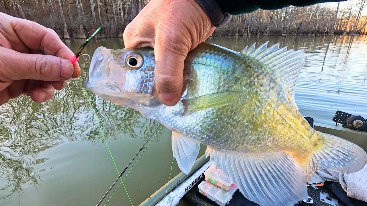 Cold Water Crappie - January Fishing with Abu Garcia Reels and Hand tied jigs with minnows.