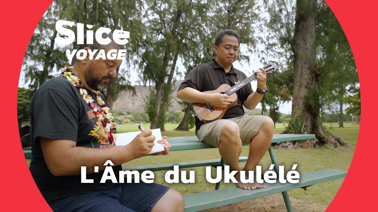 Hawaï : Ukulélé et Aloha dans un même dessin I SLICE VOYAGE