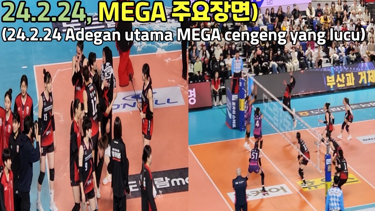 RS, NO.8 'MEGA' 주요장면(Adegan utama MEGA, 24.2.24)  #여자배구 #정관장 #mega #megawati