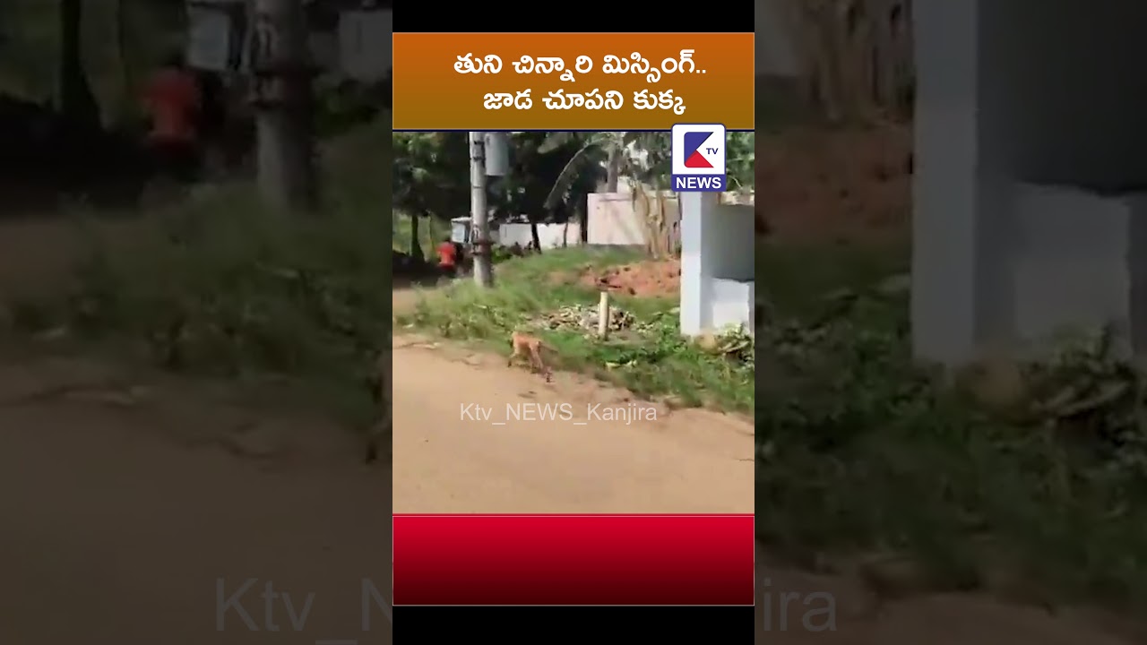 తుని చిన్నారి మిస్సింగ్.. జాడ చూపని కుక్క #ktvshorts #kadapa #dog #gpstracker #police #latestshorts