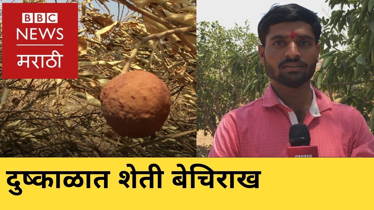 Marathi news: BBC Vishwa 25/04/2019 | Lok Sabha Election 2019 | मराठी बातम्या: बीबीसी विश्व