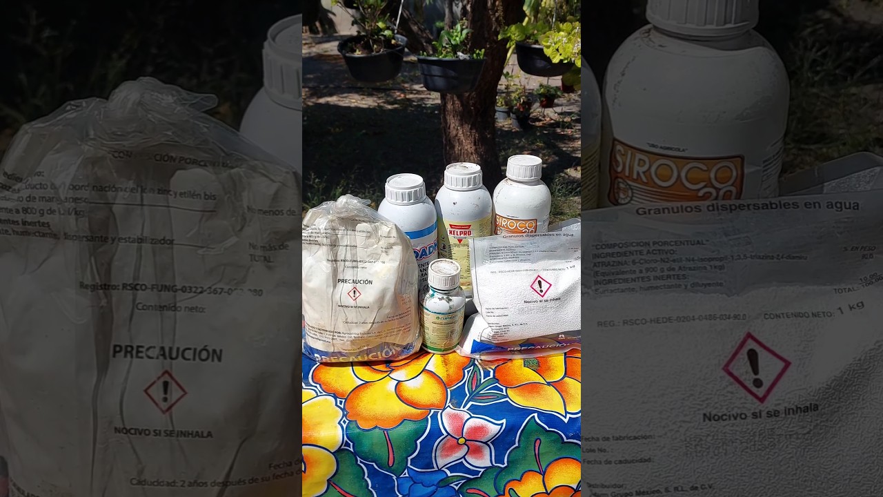 🌽🤠Orden de mezcla de agroquimicos🤠🌽 #maiz #plantas #agronomia #agricultura