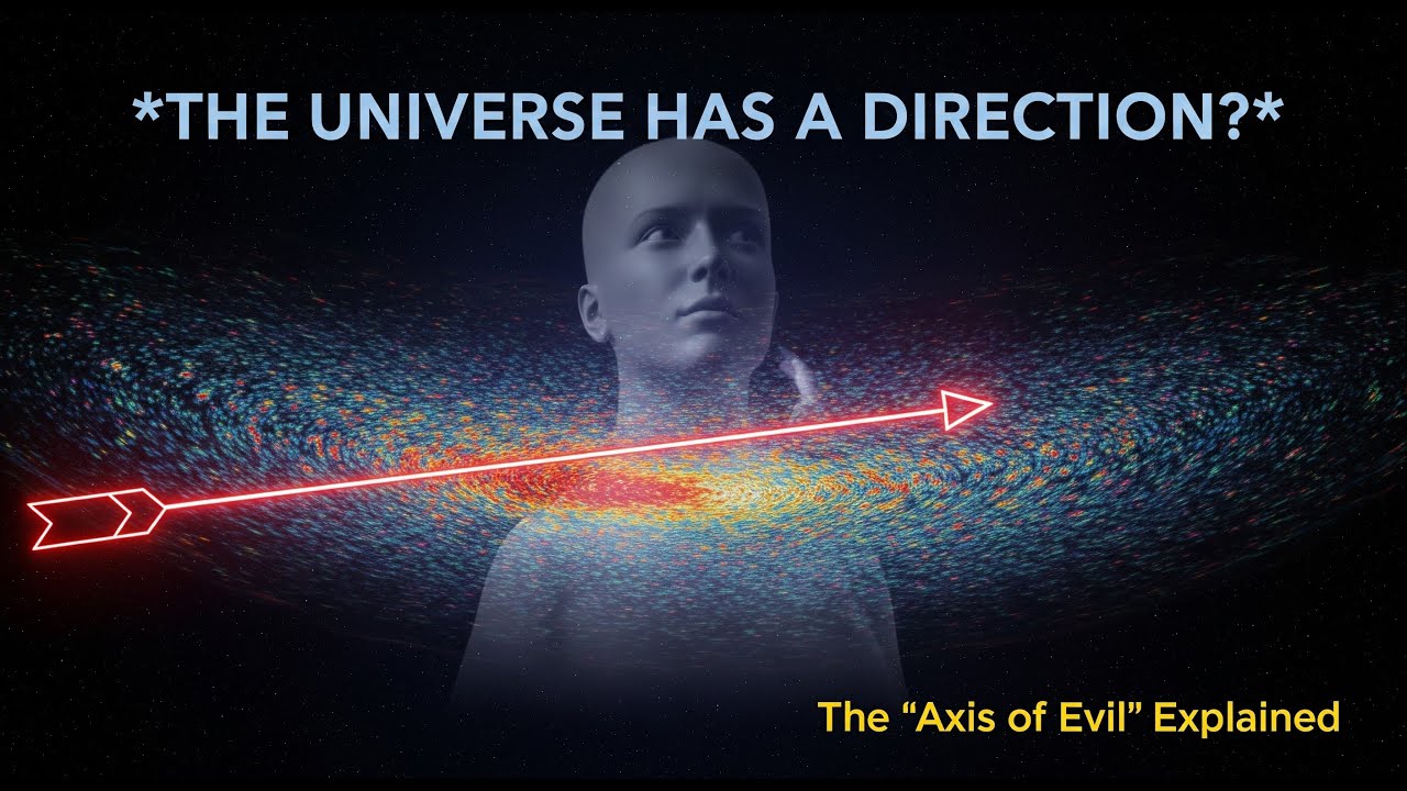 The 
