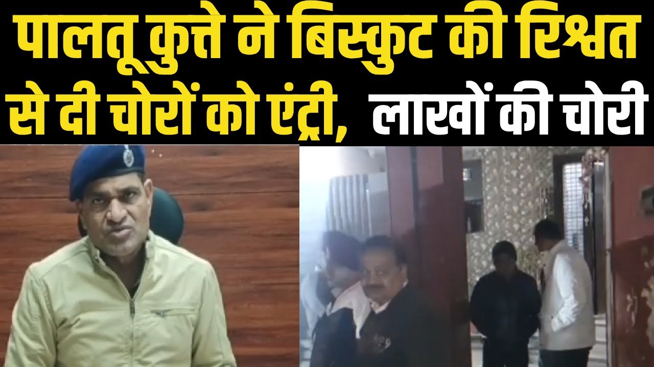 कुत्ते को बिस्कुट खिलाकर पटाया फिर 30 तोले सोने व लाखों की नकदी पर किया हाथ साफ़ City Tehelka