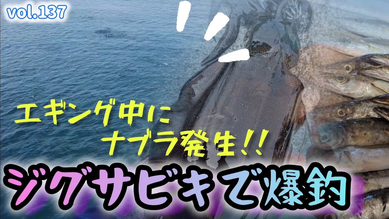 vol.137 エギング中にナブラ発生 ジグサビキで爆釣