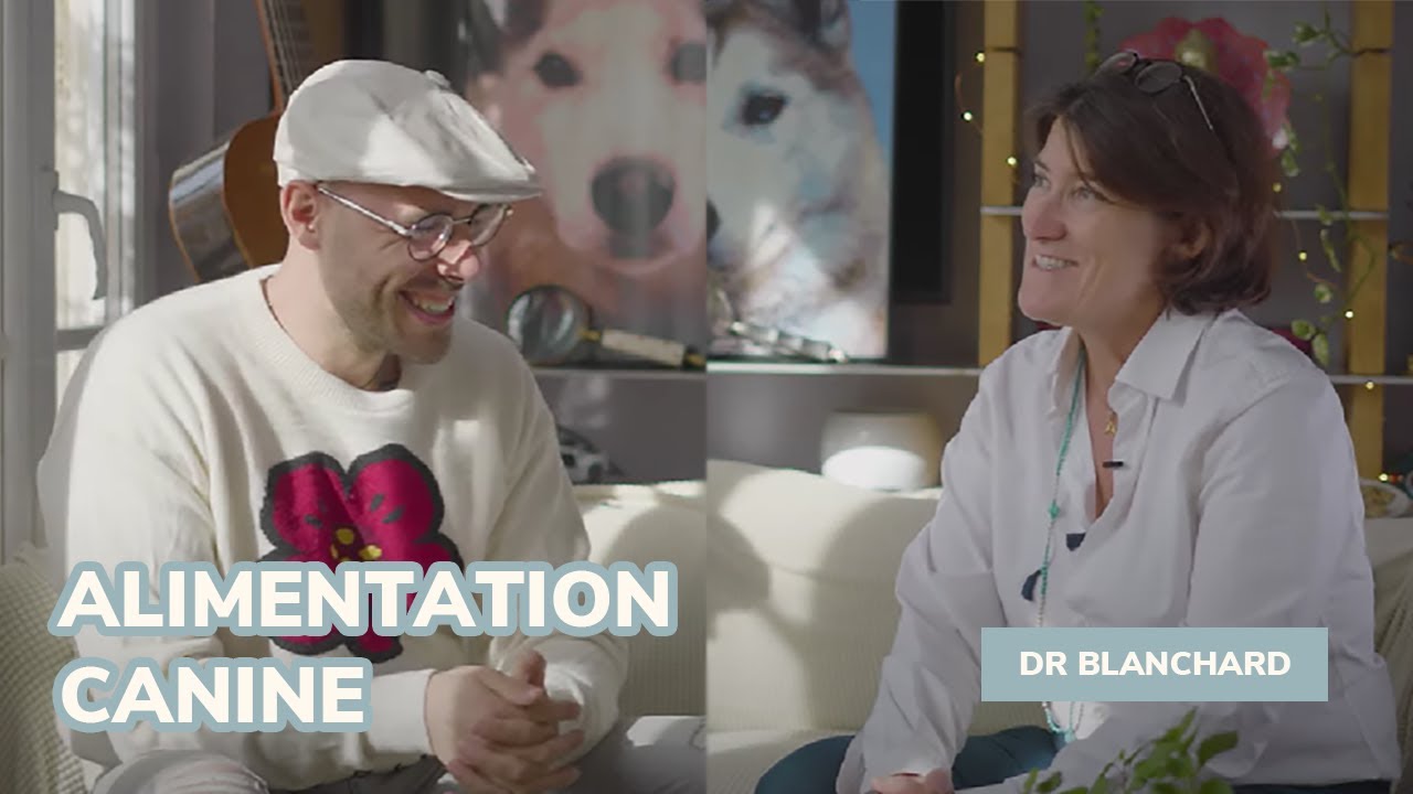 L'alimentation canine: la santé dans la gamelle