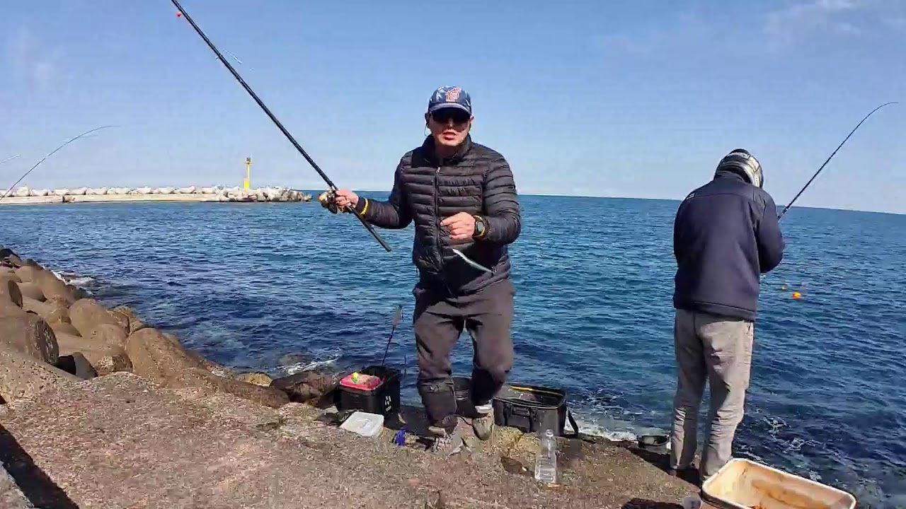 제주도 학꽁치 낚시