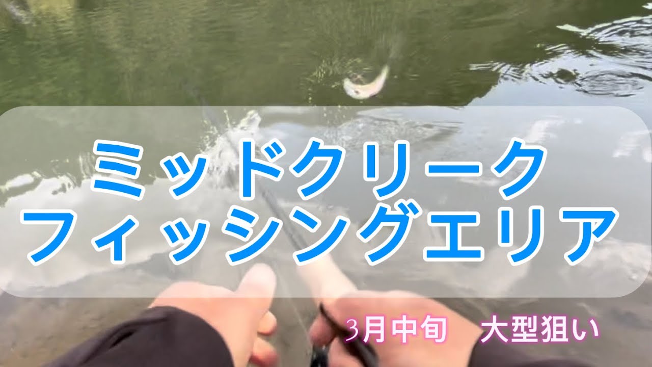 大型を狙った結果　ミッドクリークフィッシングエリア　3月中旬　管理釣り場　エリアトラウト