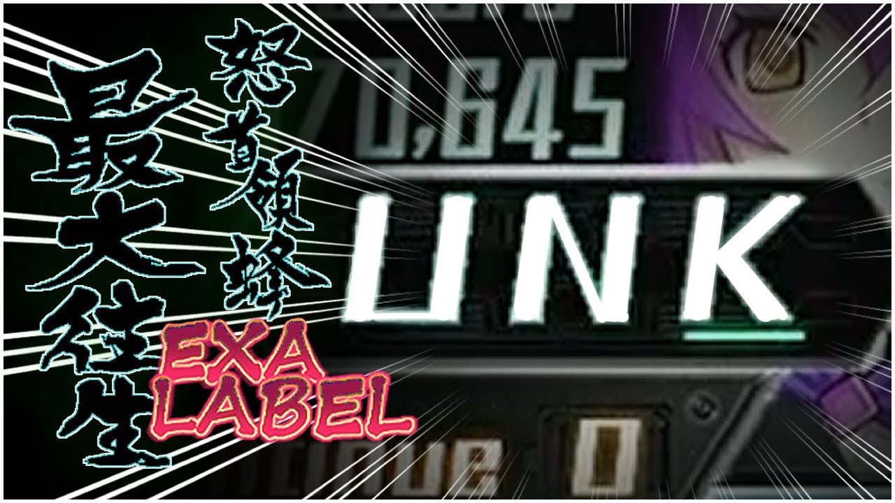 【怒首領蜂最大往生EXAレーベル】1,059,097,870,645pts. Type-D【DoDonPachi SaiDaiOuJou exA Label】