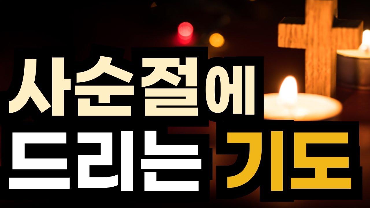사순절기도모음 | 사순절기도문 | 사순절에드리는기도 | 40일작정기도 | 사순절기도문 | 2025년 기도문 ㅣ기도가 어려운분들을 위한 기도예시문