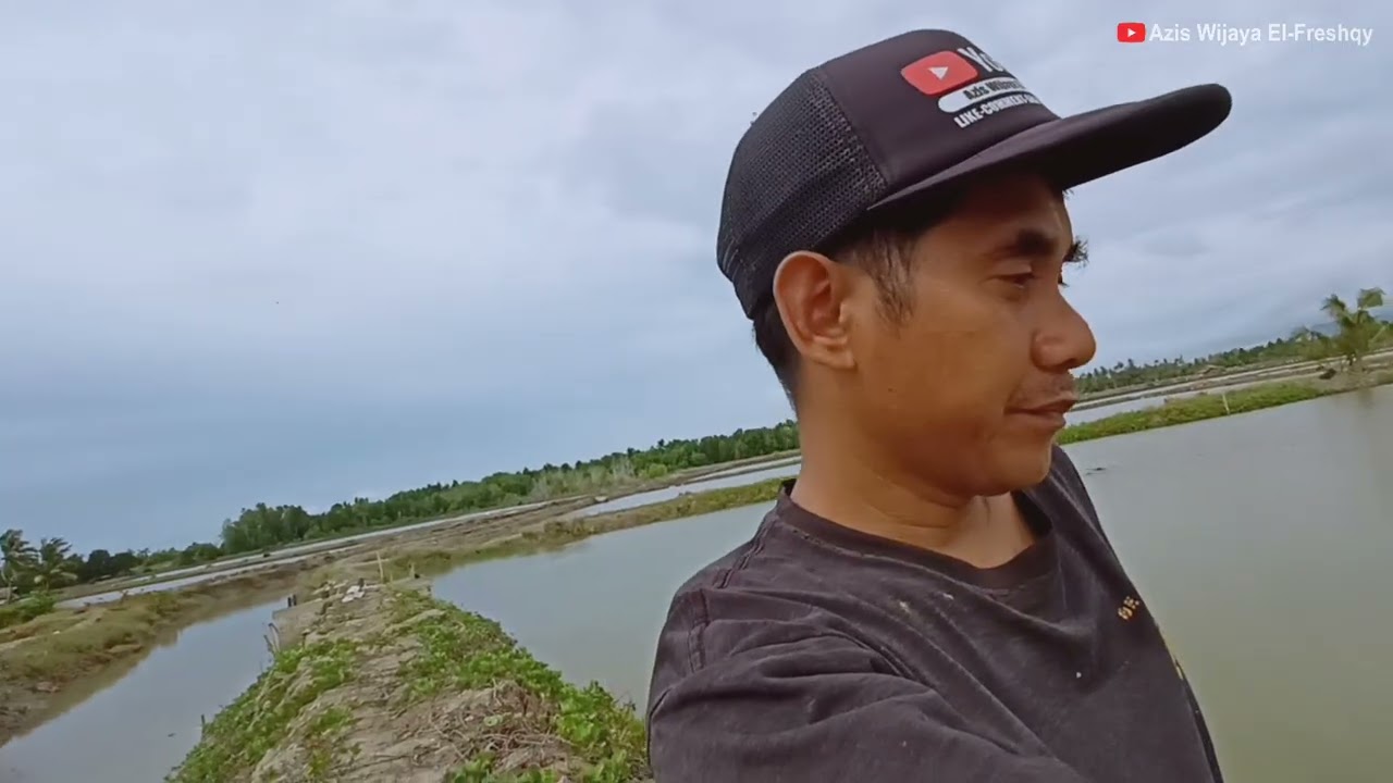 Persiapan Panen Udang | Tes Jalan Udang