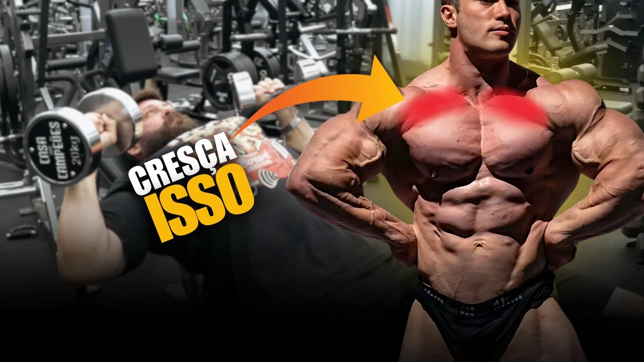 AS 4 ÚNICAS DICAS PARA SUPERIOR DE PEITORAL QUE VOCÊ PRECISA!