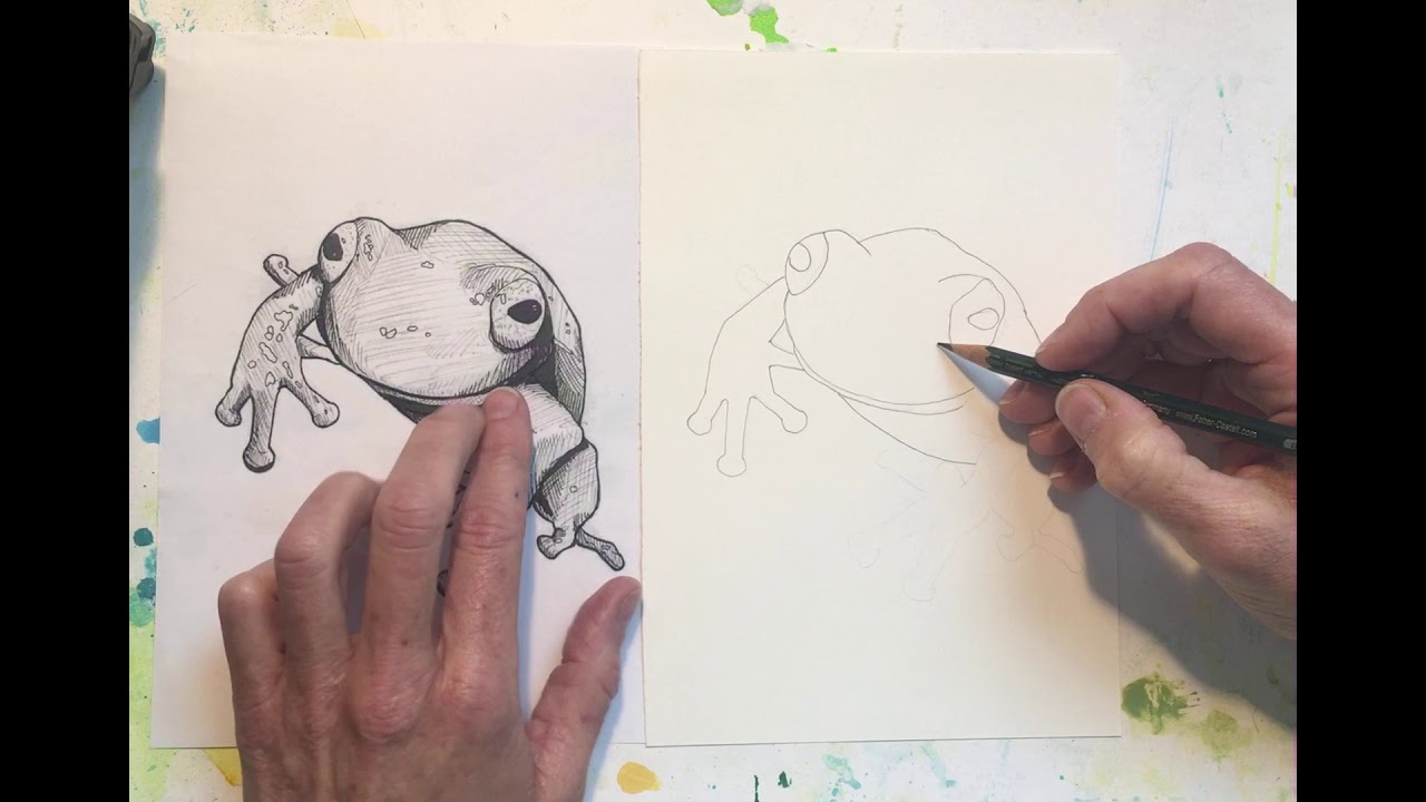 Frosch zeichnen 1