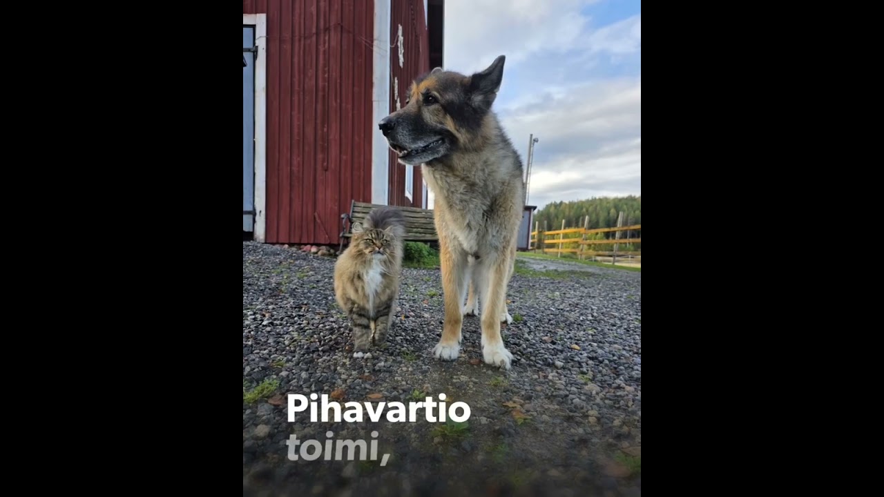 luukku20