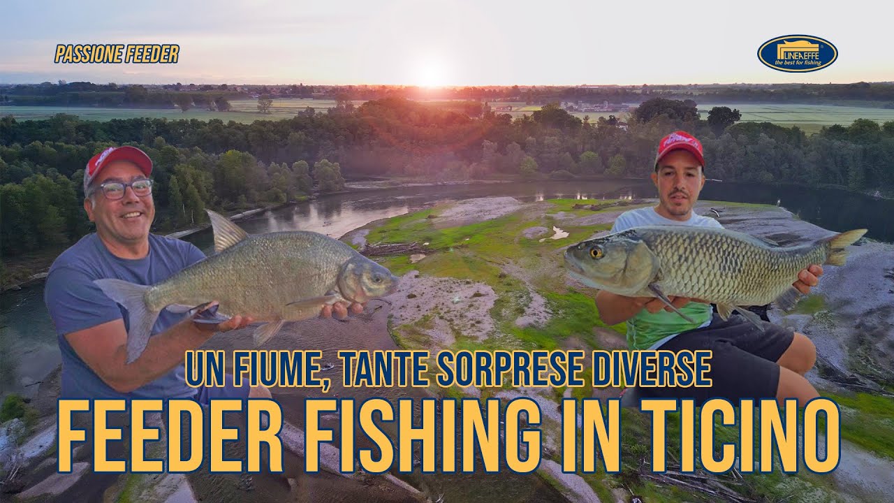 Pesca a Feeder sul Ticino: Barbi, Breme, Cavedani e Tante Catture!