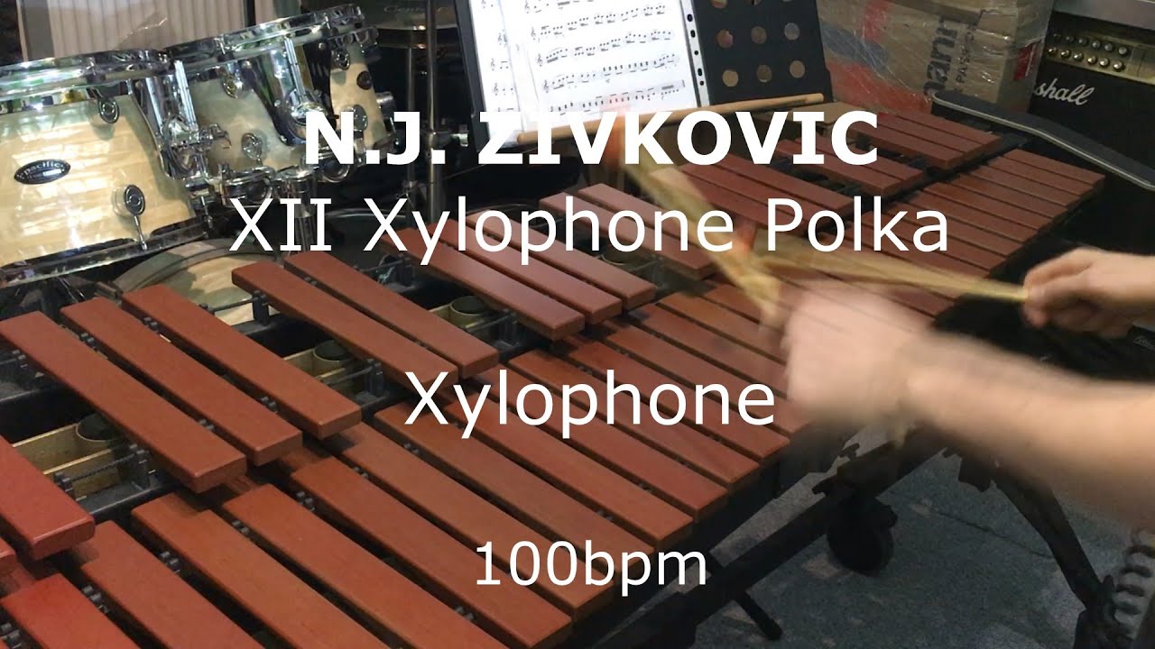 N.J. Zivkovic - XII Xylophone Polka (My First Book for Xylophone and Marimba)