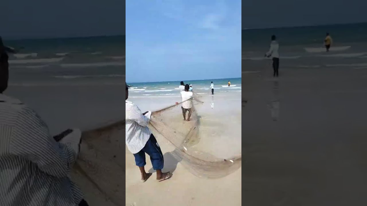 Sea fishing live! 
