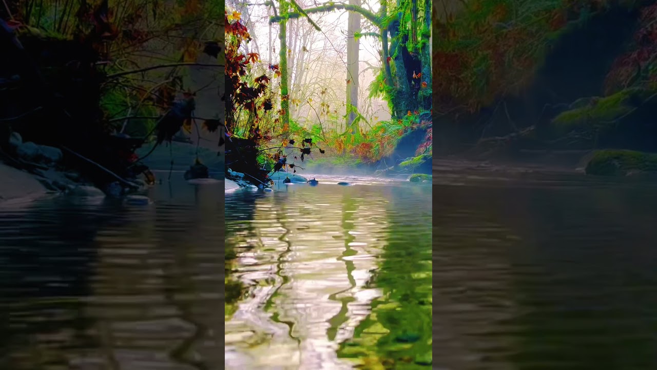 Tranquility Creek #riverflowingsound #flowingwatersound #waterflowsound #calmingriver #watersounds