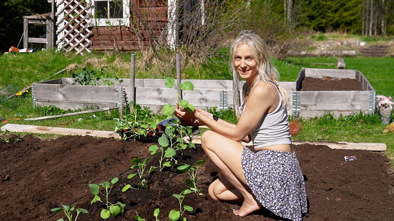 A Month of Doubt, Gratitude & Growth | Life in Northern Sweden