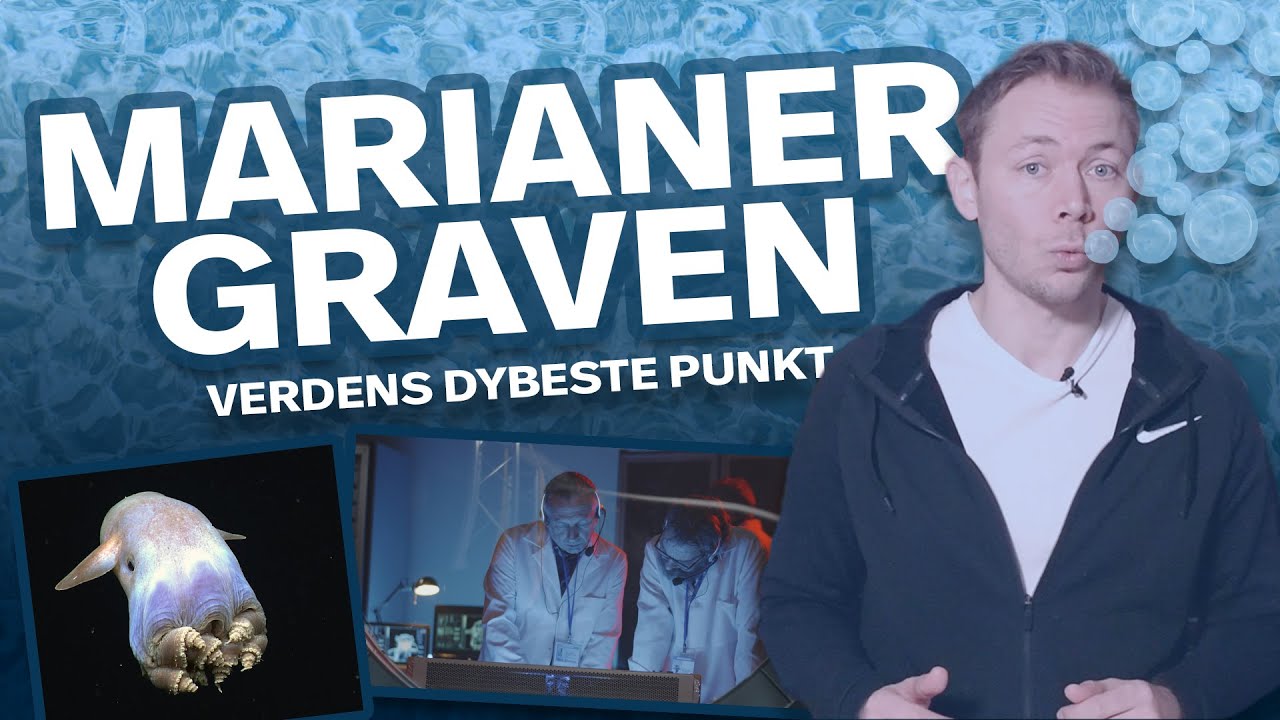 Hvilke Væsener Lever I Verdens Dybeste Dyb?