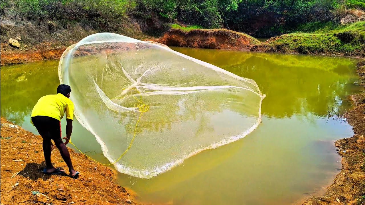 How to throw  fishing net // 4k video