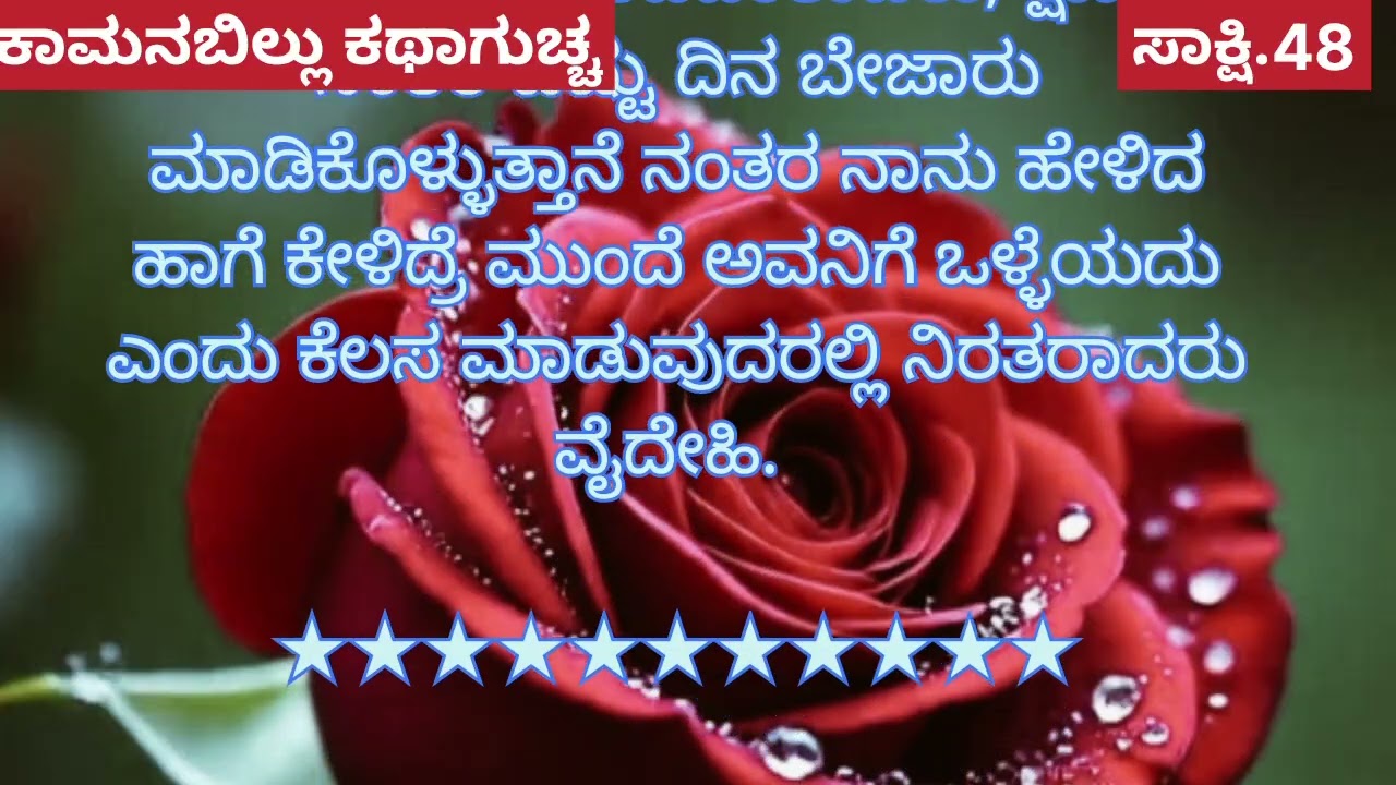 ಸಾಕ್ಷಿ.48 ಸಾಕ್ಷಿ ಮದುವೆ ತಯಾರಿ