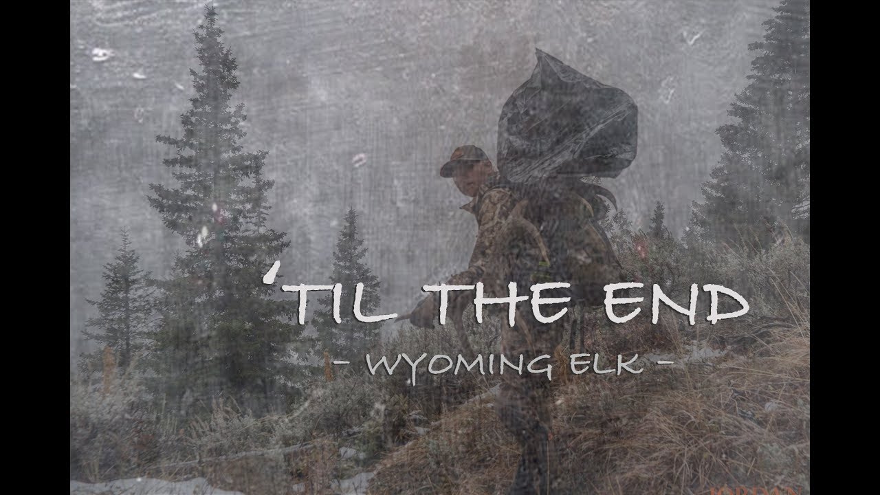 'TIL THE END - WYOMING ELK