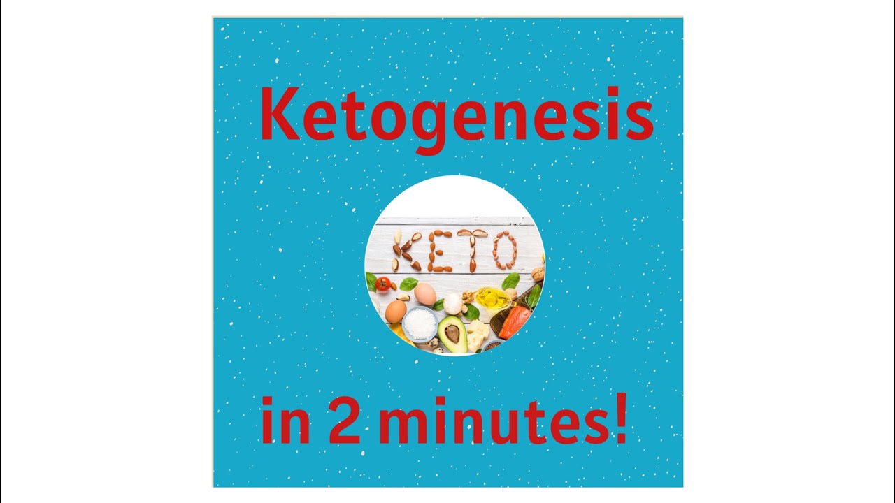 Ketogenesis and Ketones in 2 minutes!