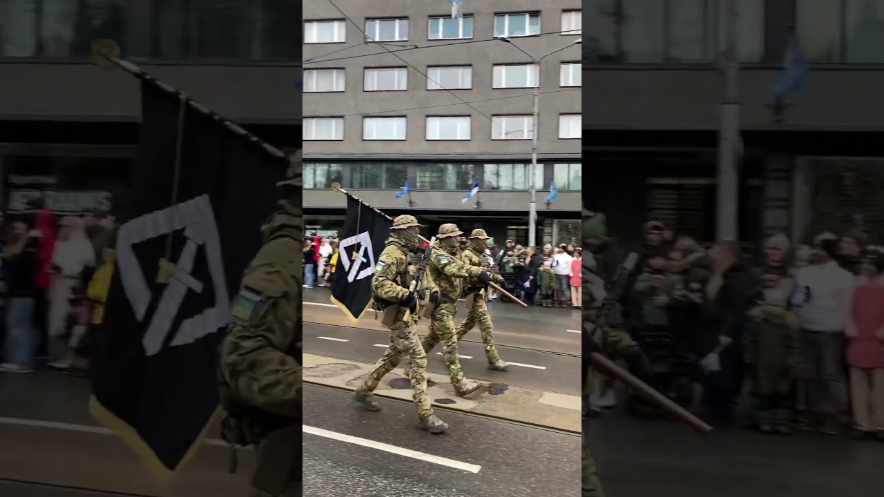 NATO soldiers. Estonian army. Independence Day. Tallinn 2024.#nato #soldiers #military #estonia