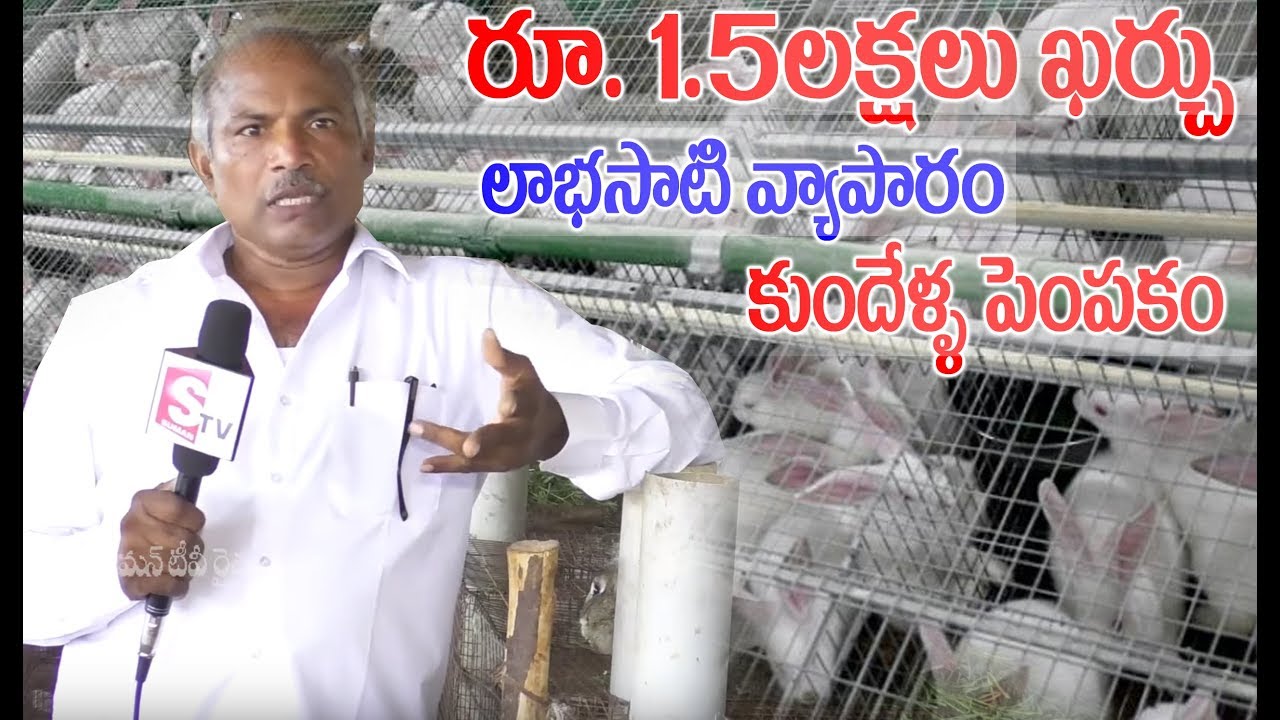 Rabbit Farming || Farmer Ravi Kumar Rabbit Farming Success Story || SumanTV Rythu