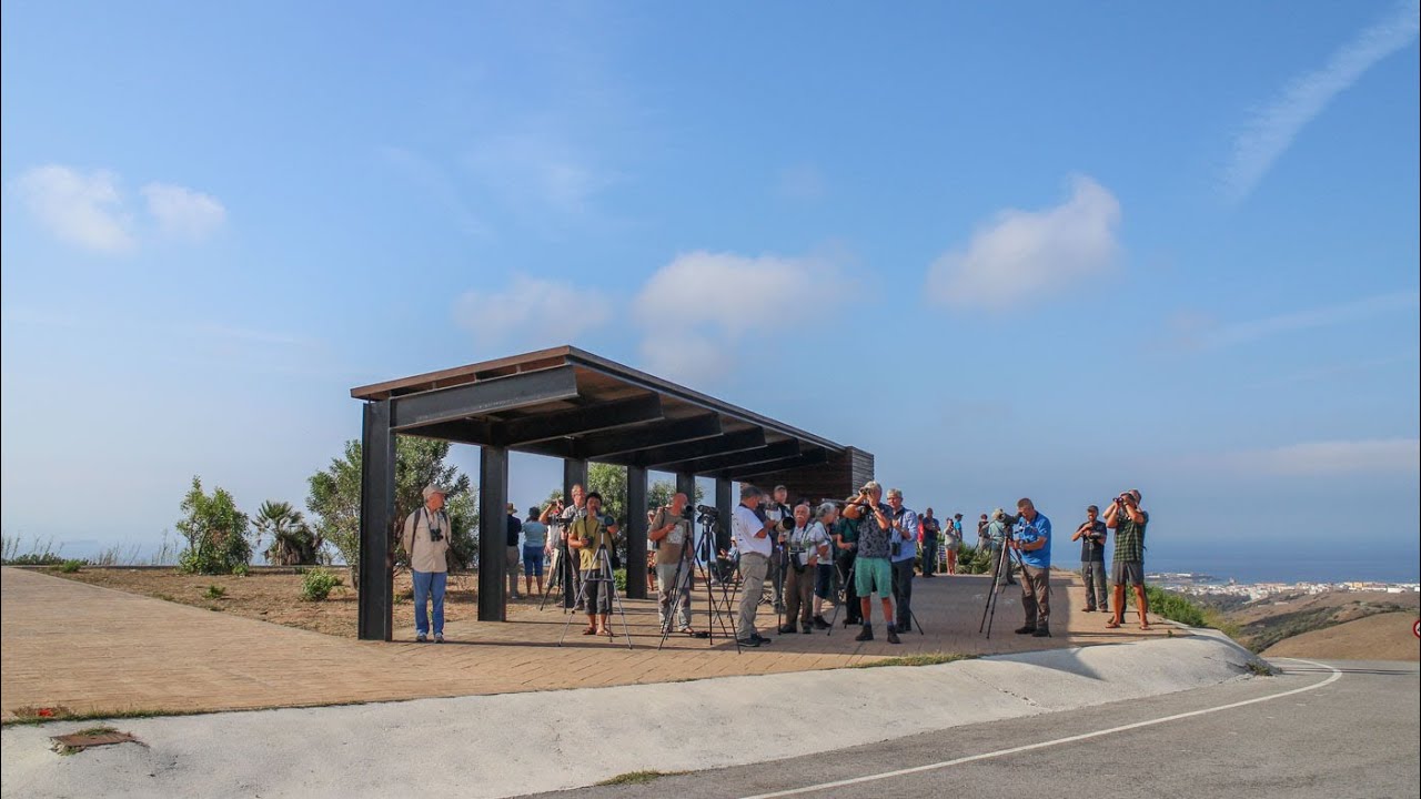 Tarifa 2019