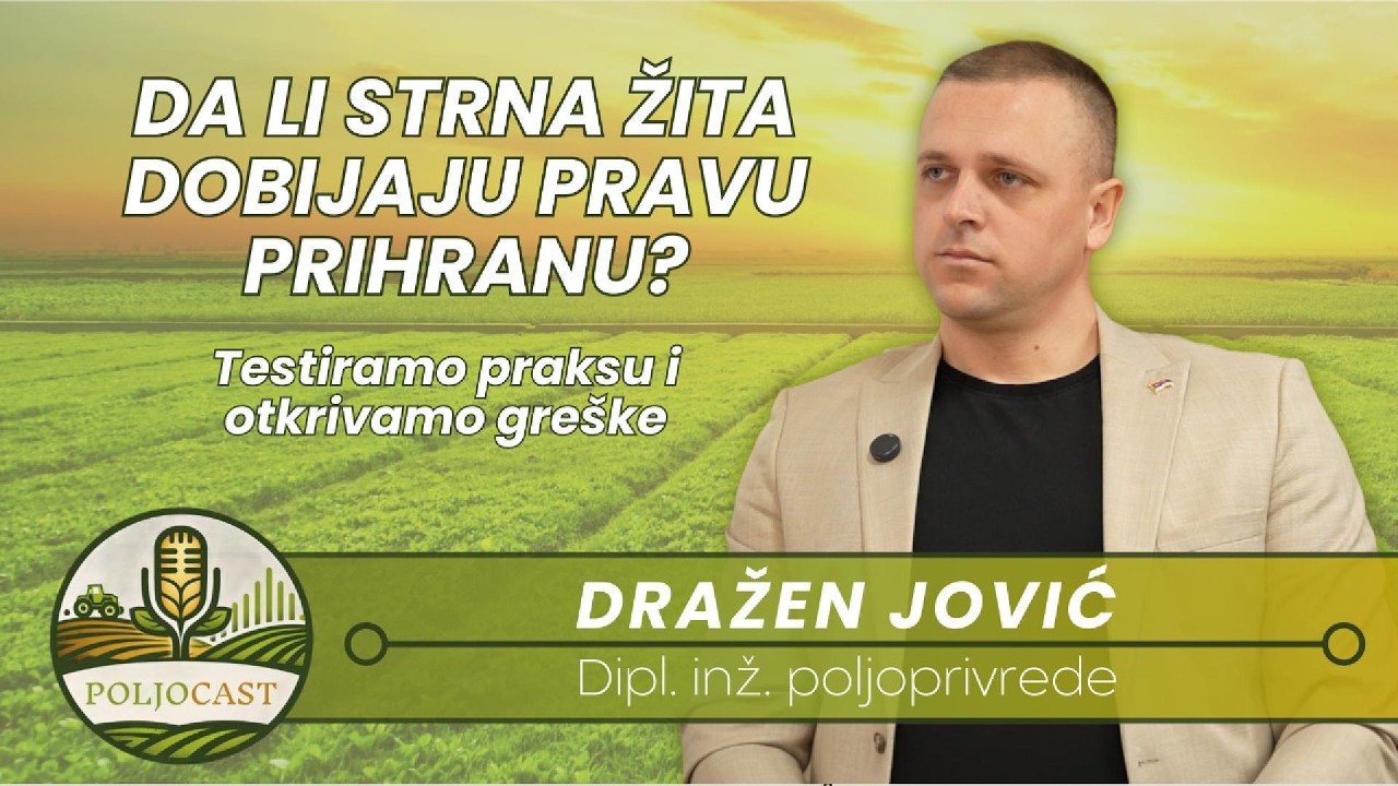 Tajne uspješne prihrane strnih žita, kako izbjeći najveće greške | Dražen Jović | PoljoCast 3