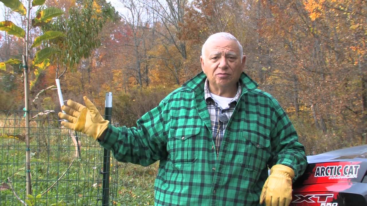 Woods N Water Update on Planting Chestnuts 2015