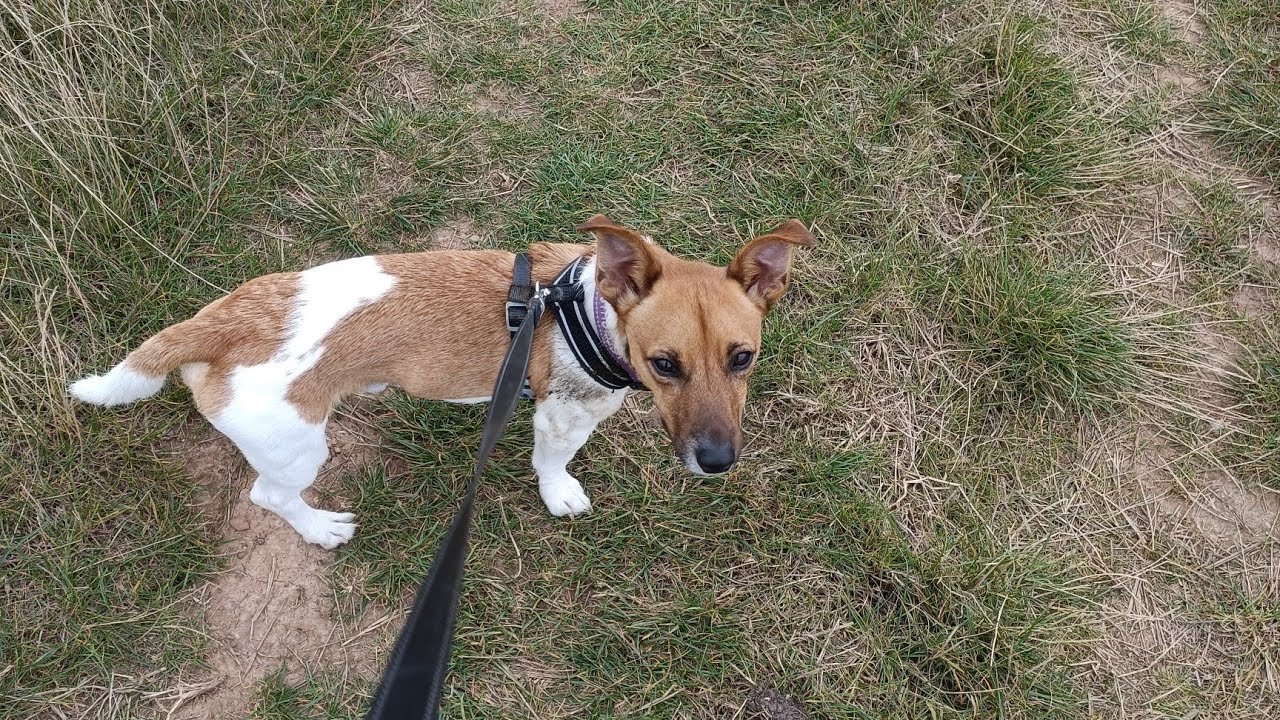 01/18/26 Walk around Withernsea Cliff and Promenade 